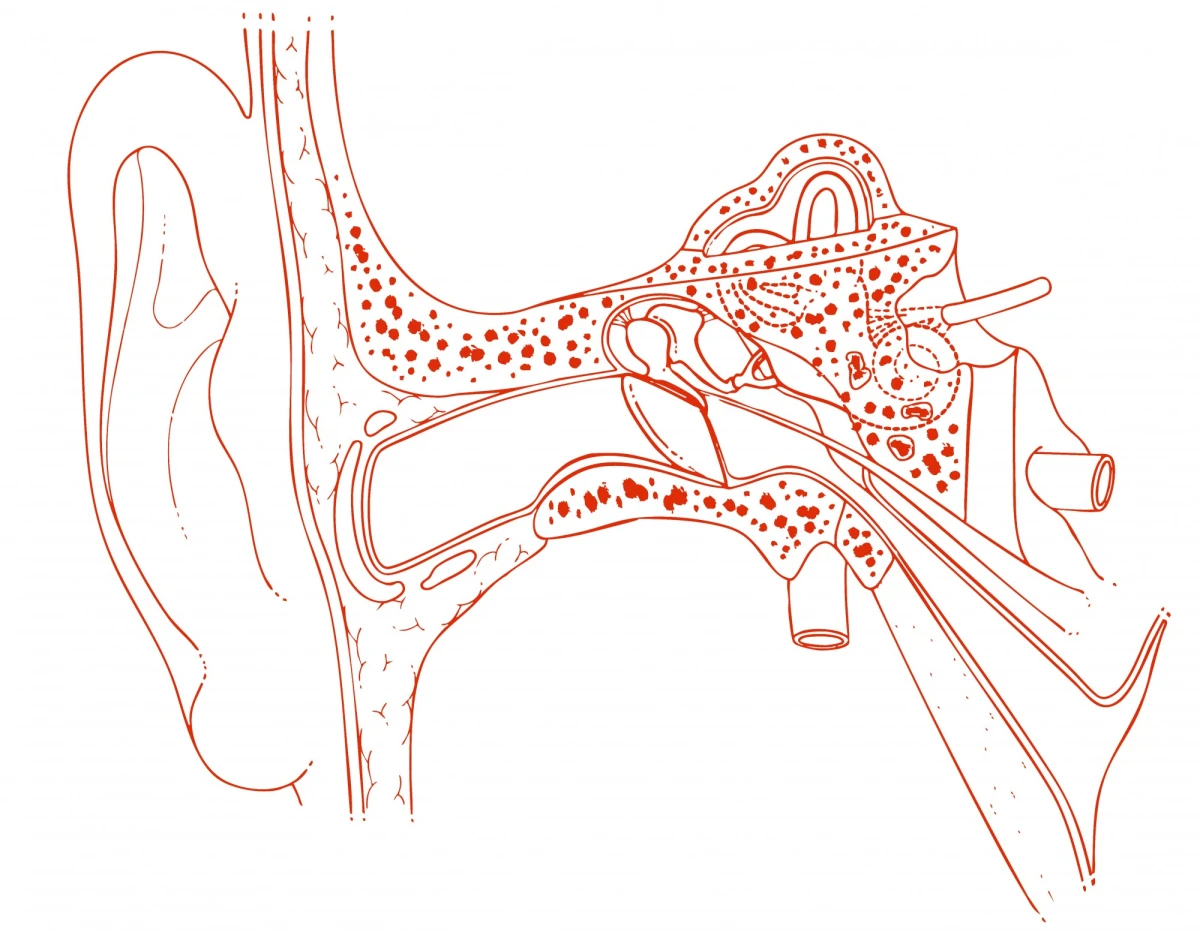 half-rest-i-blankett-2026