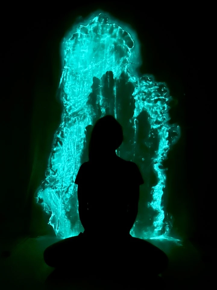 come-di-meglio-bioluminescence