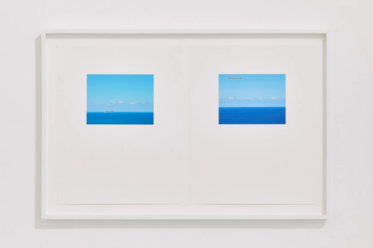 Massinissa Selmani, Trop de mer, il a mordu jusqu’au soleil, 2023, Photo : JC Lett