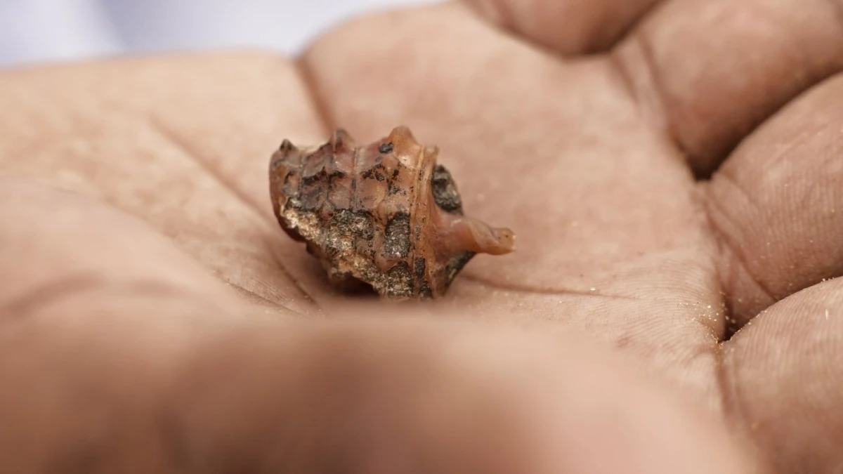 abdessamad-el-montassir_aabide-lkadia-1