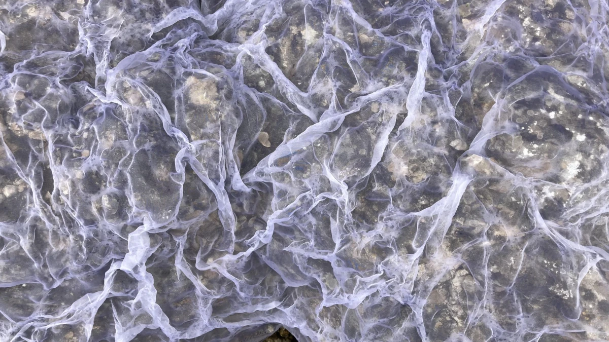 labgamerz-jenny-abouav-festival-pac-2025