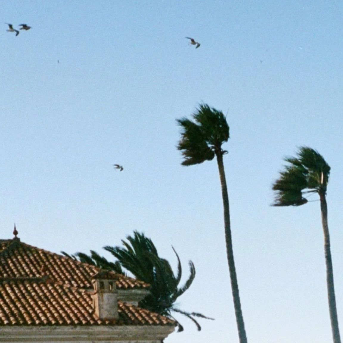 vent_violent_bykevinledortz