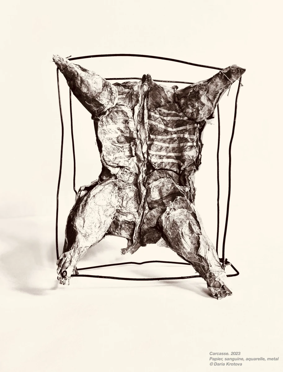 <strong>Daria Krotova, *Carcasse. 2023 ©Daria Krotova*<strong>****</strong></strong>