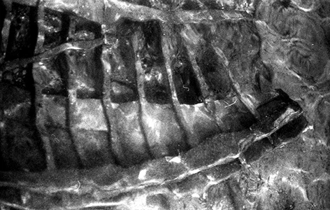 Mise en demeure ©Gabriel Garçonnat – 2026