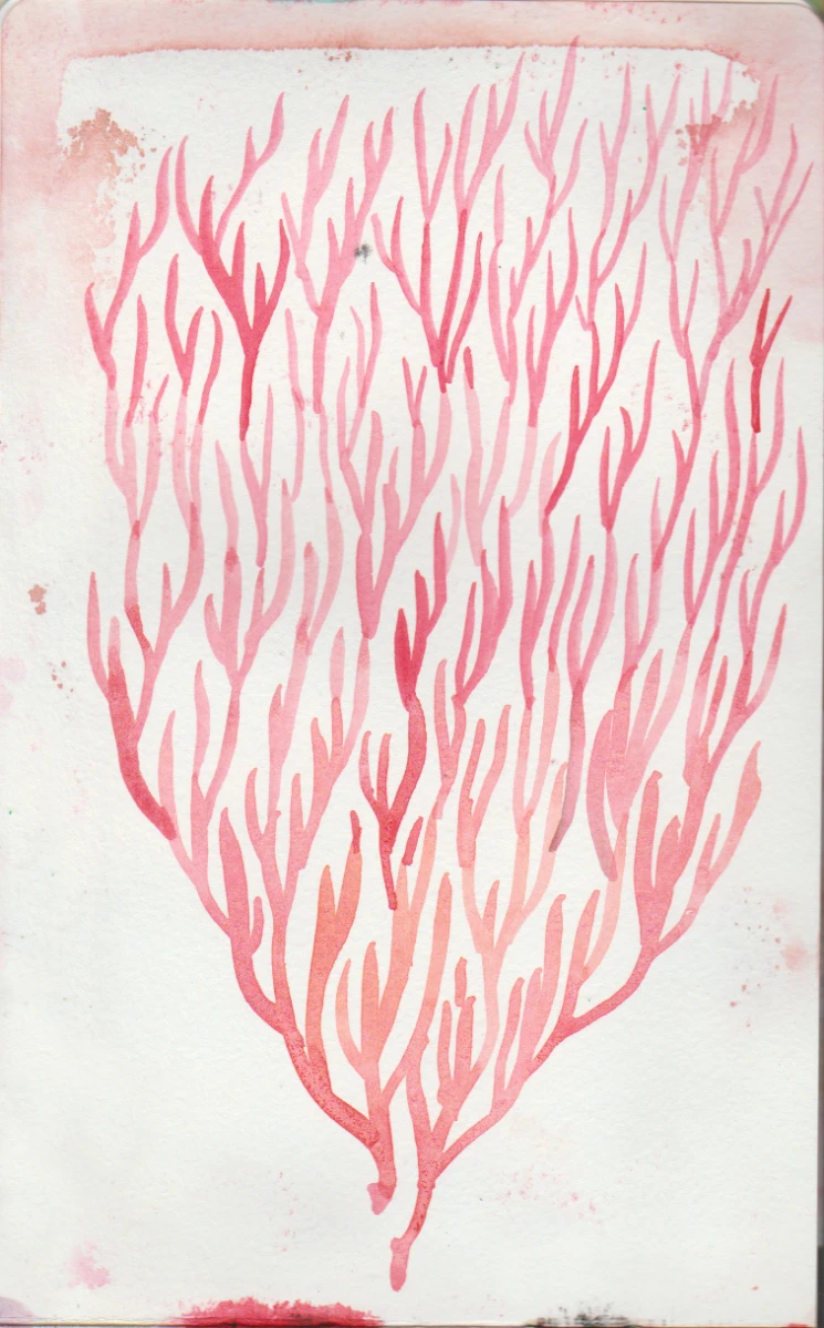 <em>Arbre de vie</em> croquis à l’aquarelle 2025. Cr Photo Gaëlle Villedary