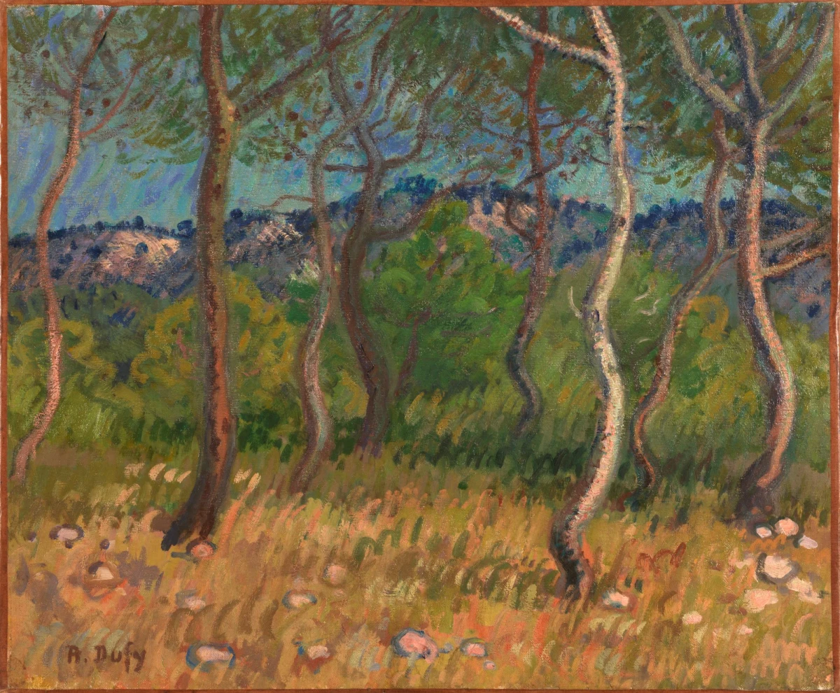 2_173_mzp-2011.6.1_comp