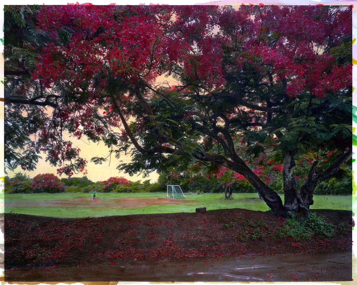 Marie Bovo, <em>Après la pluie</em>, 2024. Justine Viard